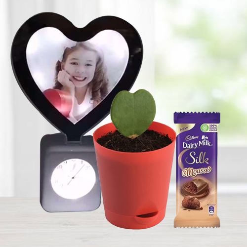 Spectacular V-day Gift of Personalized Photo Heart Lamp Clock with Hoya Plant n <br>Mousse Chocolate