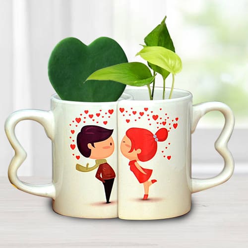 Lovely Couple Coffee Mug with Hoya Heart n Money Plant