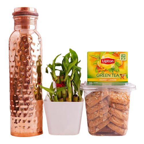 Bamboo Plant N Copper Bottle Gift Set