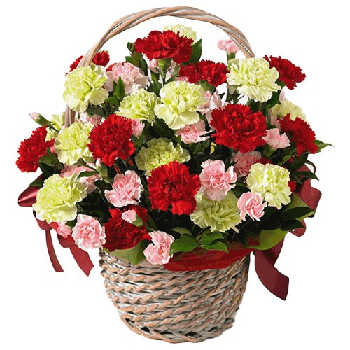 Mixed Carnations Arranged in a Basket