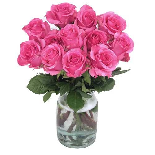 Lovely Pink Roses in Vase