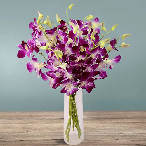 Exclusive Display of 12 Purple Orchids in a Vase