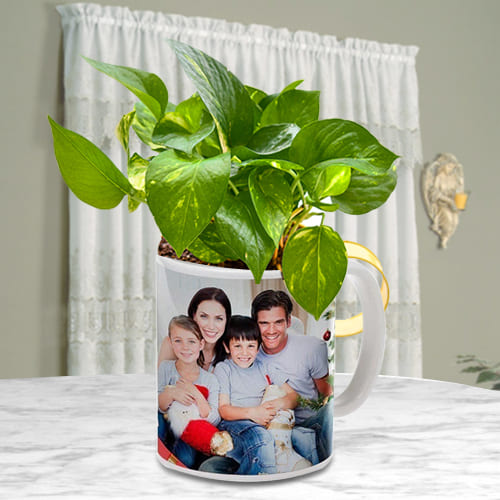 Remarkable Money Plant in Customized Coffee Mug