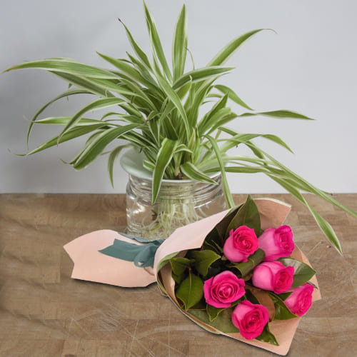 Remarkable Spider Plant in Glass Pot with Bunch of Pink Roses