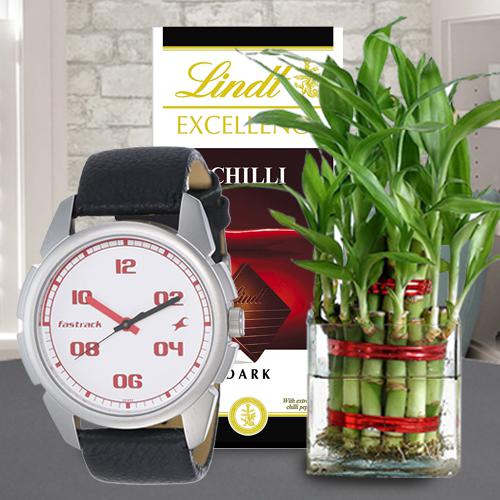 Fantastic Fastrack Watch with Bamboo Plant and Lindt Chocolate